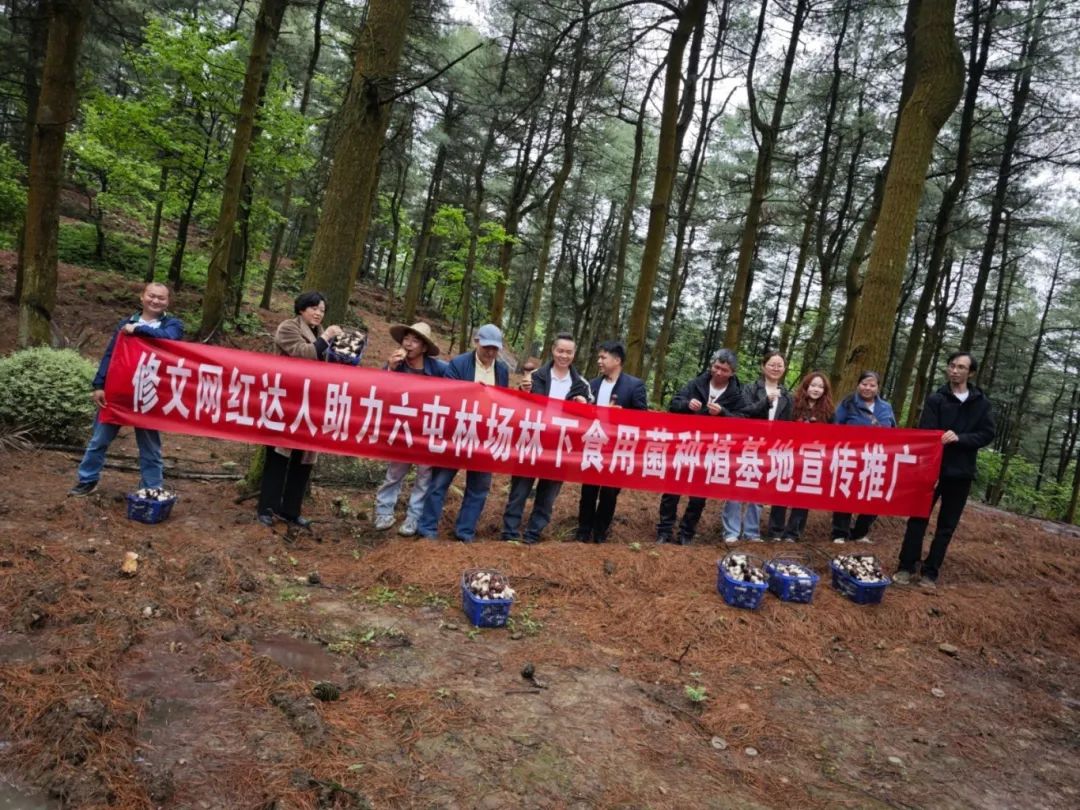 修文縣商務(wù)局攜手網(wǎng)紅達人對六屯林場林下食用菌種植基地開展宣傳推介活動